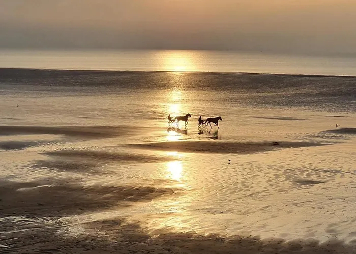 Holidayvilla50mfrombeach Villadevacancesplage A50m *