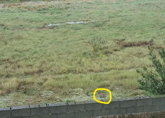 Holidayvilla50mfrombeach Villadevacancesplage A50m